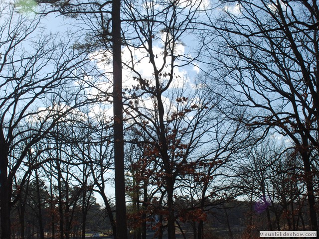 Sunny day at Lake Bob Sandlin